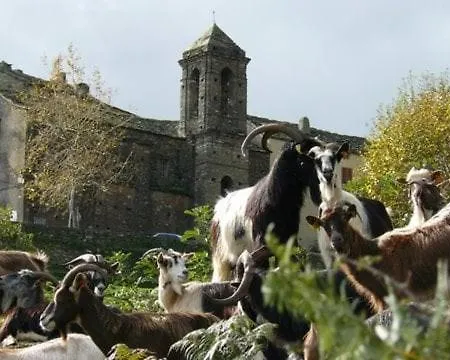 A Macina Сasa de vacaciones Porri